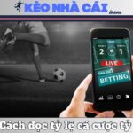 Cách Đọc Tỷ Lệ Cá Cược Tỷ Số Trong Bóng Đá Chuẩn Chỉ