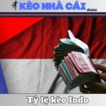 Cách Tính Tỷ Lệ Kèo Indo Cho Người Soi Kèo Bóng Đá 11 Cách Tính Tỷ Lệ Kèo Indo Cho Người Soi Kèo Bóng Đá