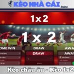 Kèo Châu Âu - Cách Đọc Và Các Tip Đánh Kèo 1x2 11 Kèo Châu Âu - Cách Đọc Và Các Tip Đánh Kèo 1x2