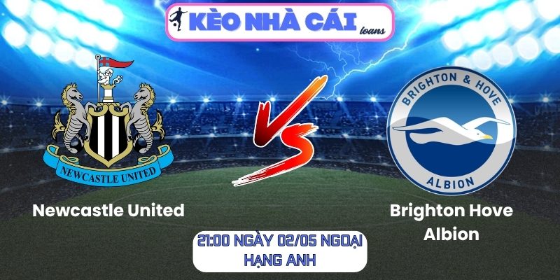 Soi kèo Newcastle United vs Brighton Hove Albion (21:00 ngày 02/05, Ngoại Hạng Anh) 1 Newcastle United vs Brighton Hove Albion